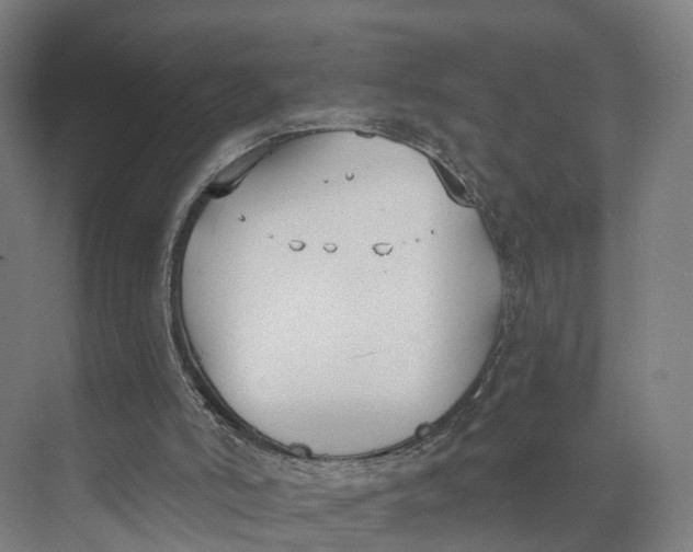 X0000073970006200609111754