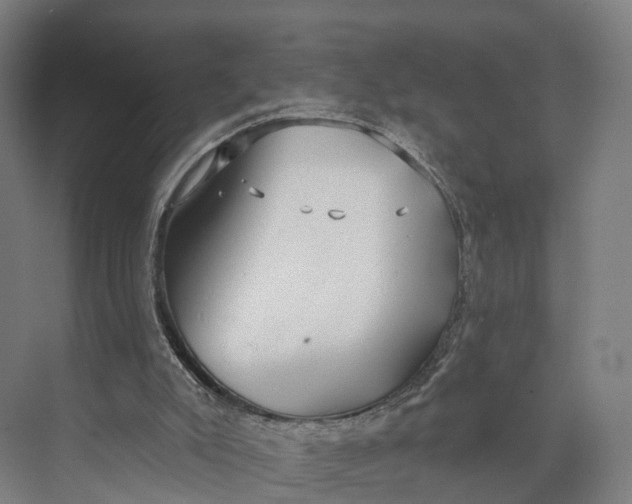 X0000073970007200609111754