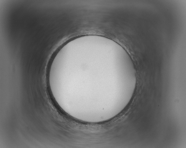 X0000073970008200609111754