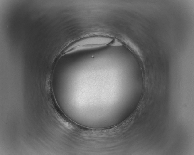 X0000073970009200609111754