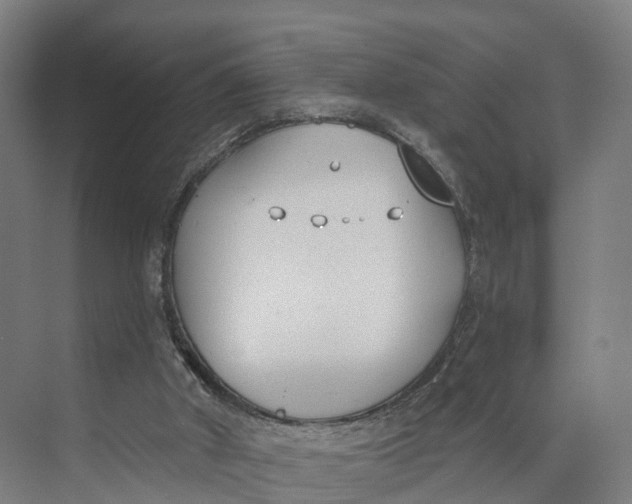 X0000073970010200609111754