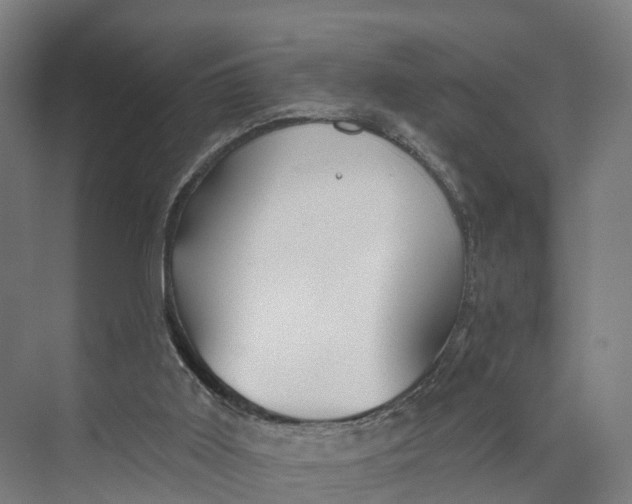 X0000073970011200609111754