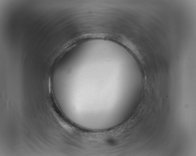 X0000073970013200609111754