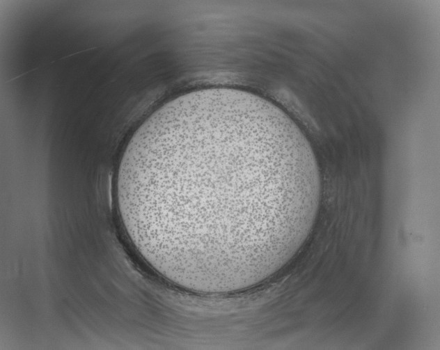 X0000073970014200609111754