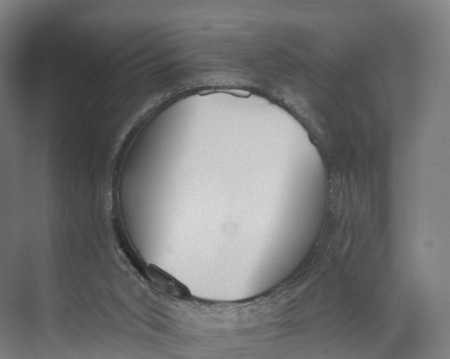 X0000073970015200609111754