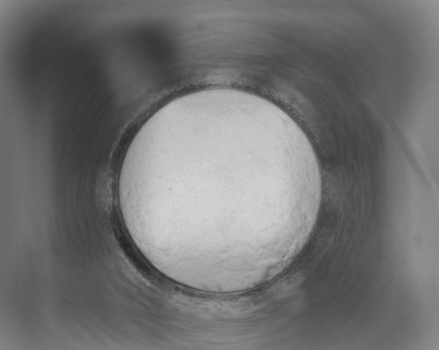 X0000073970016200609111754