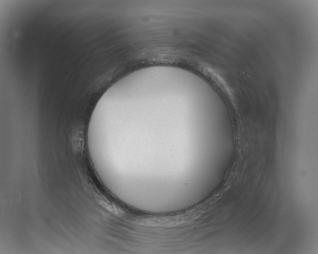 X0000073970017200609111754