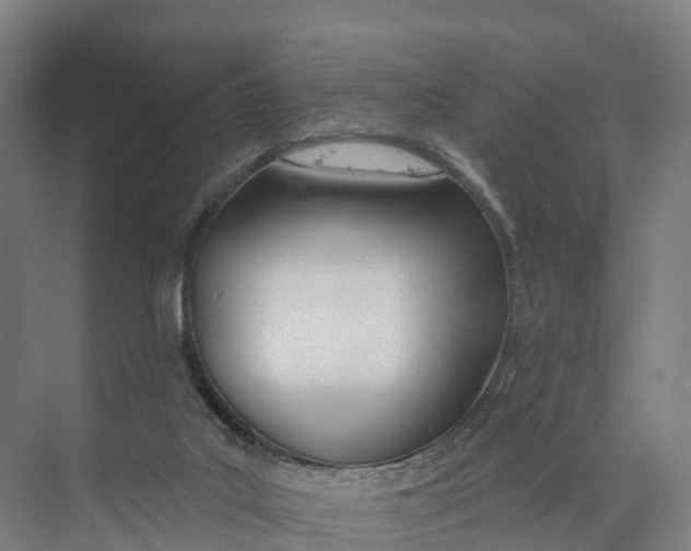 X0000073970019200609111754