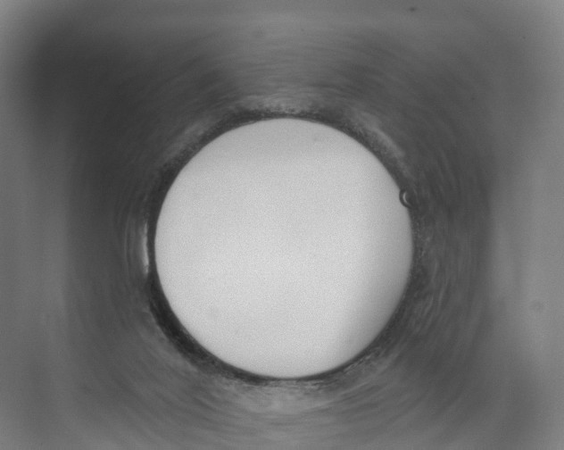 X0000073970020200609111754