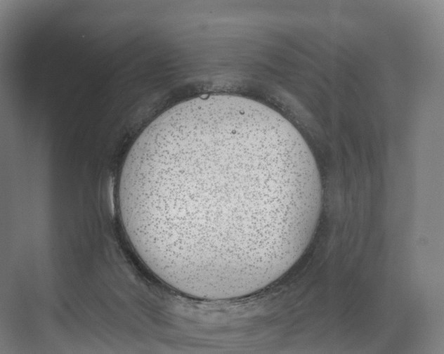 X0000073970022200609111753