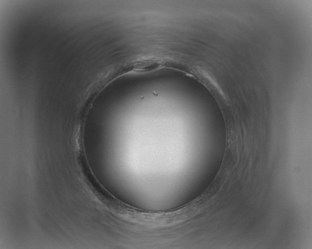 X0000073970023200609111753