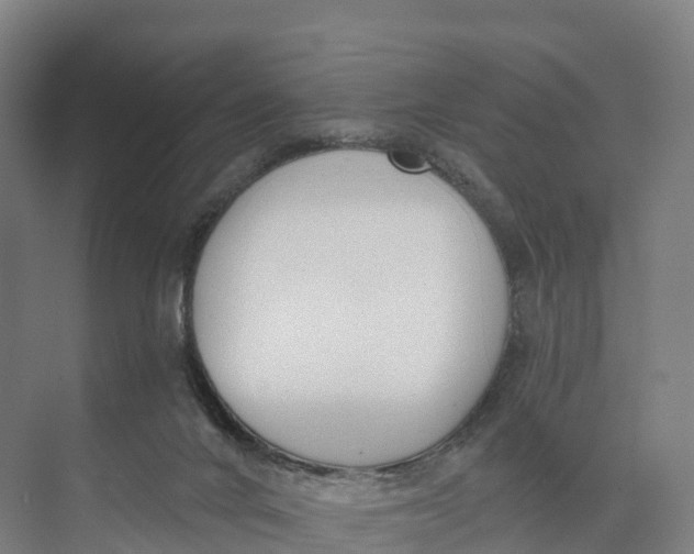 X0000073970024200609111753