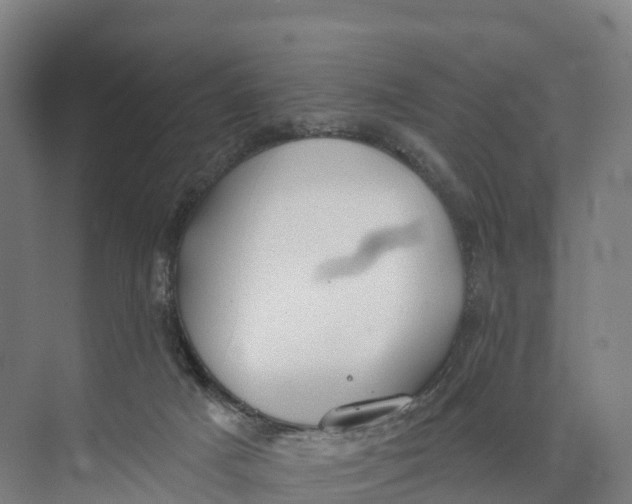 X0000073970025200609111753