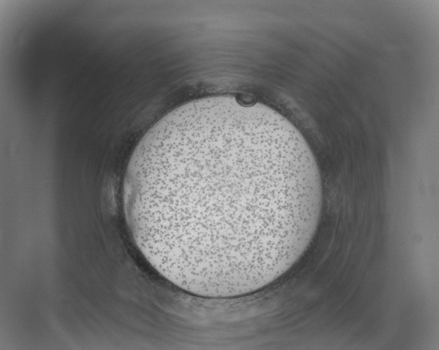 X0000073970026200609111753