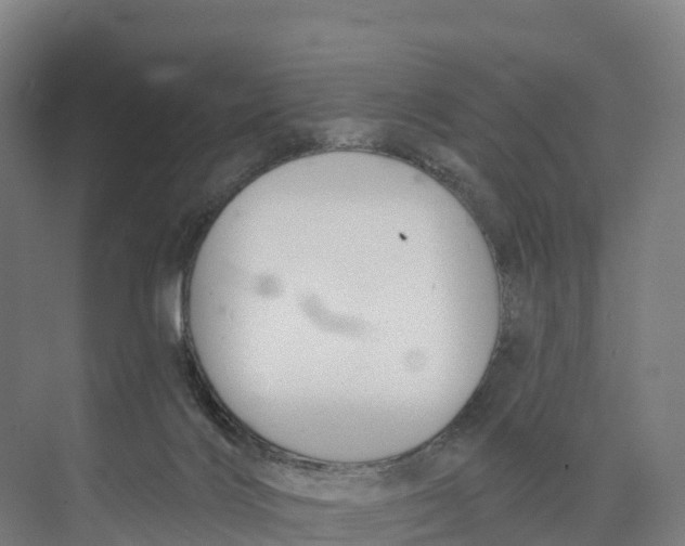 X0000073970028200609111753