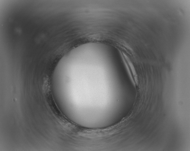 X0000073970029200609111753