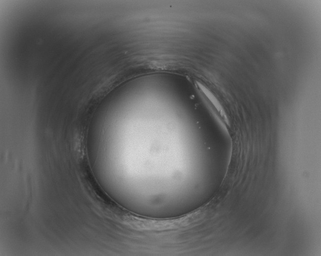 X0000073970031200609111753