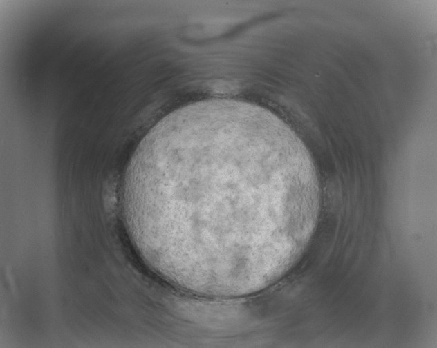 X0000073970032200609111753