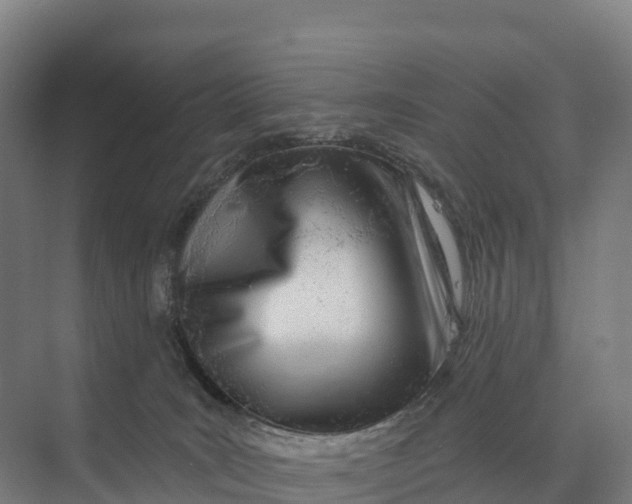 X0000073970035200609111753