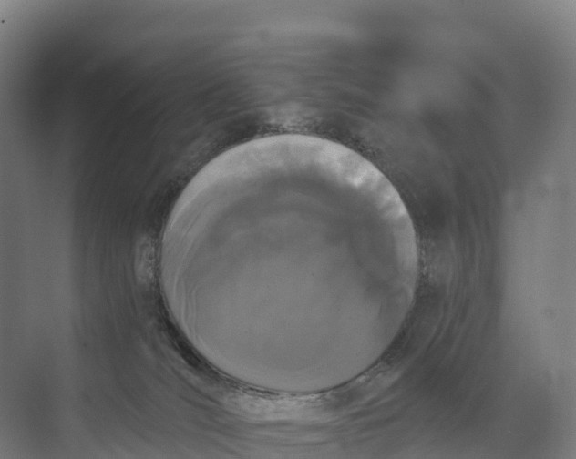 X0000073970036200609111753