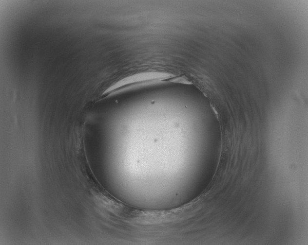 X0000073970037200609111753