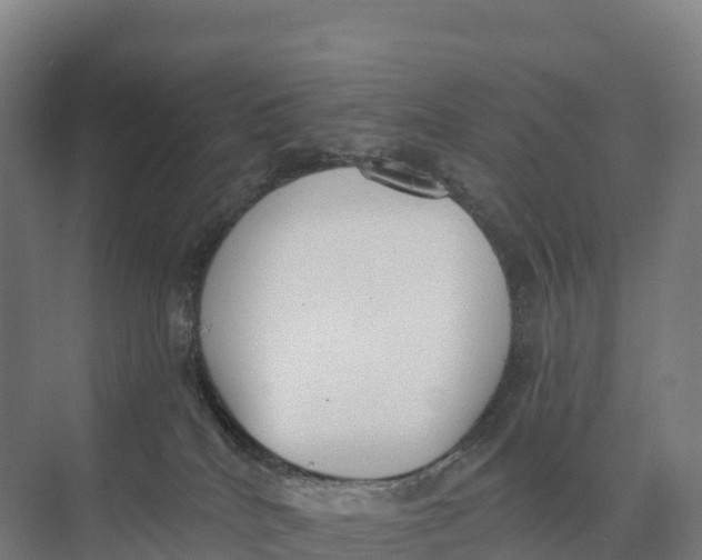 X0000073970040200609111753