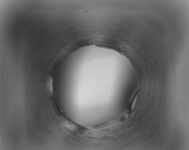 X0000073970041200609111753