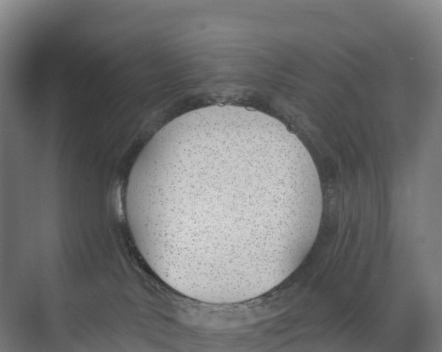 X0000073970042200609111753