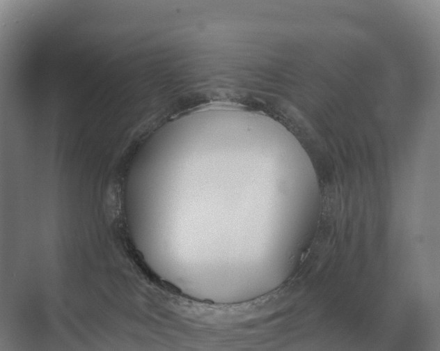 X0000073970043200609111753