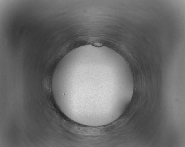 X0000073970044200609111753