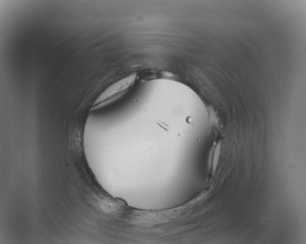 X0000073970045200609111753