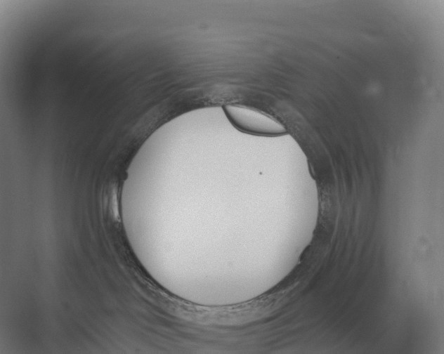 X0000073970046200609111753