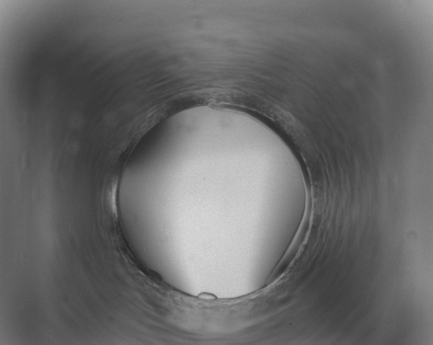 X0000073970047200609111753