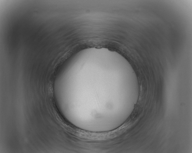 X0000073970048200609111753