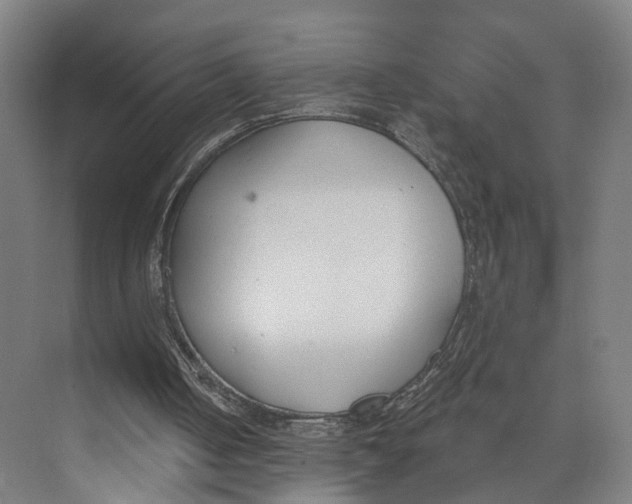 X0000073970050200609111752