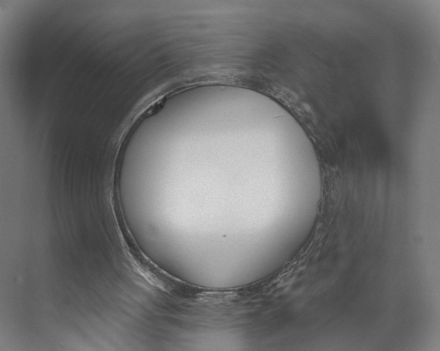 X0000073970051200609111752