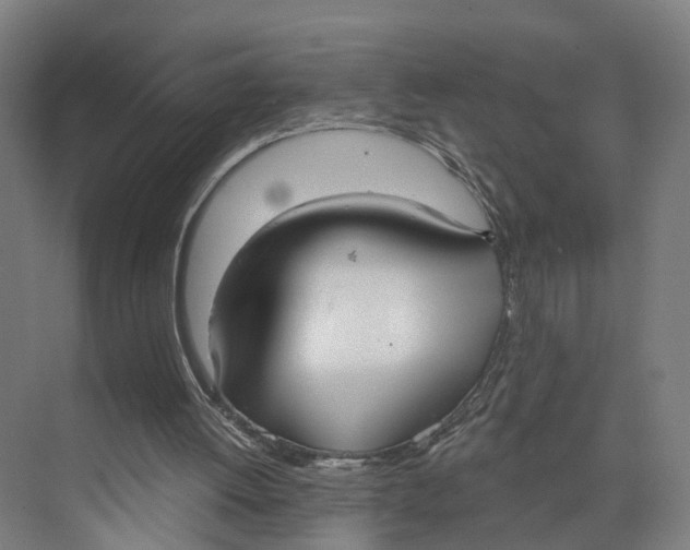 X0000073970052200609111752