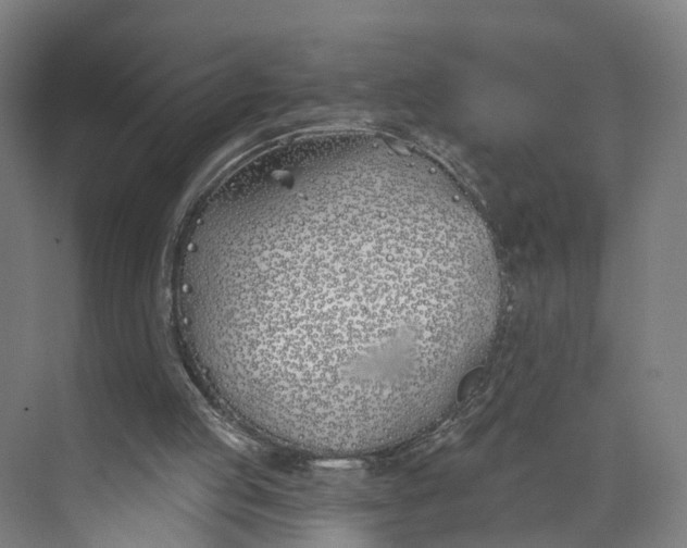 X0000073970053200609111752