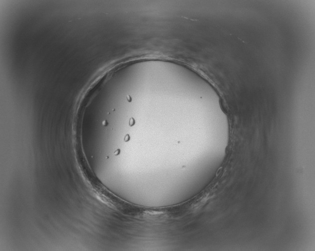 X0000073970055200609111752