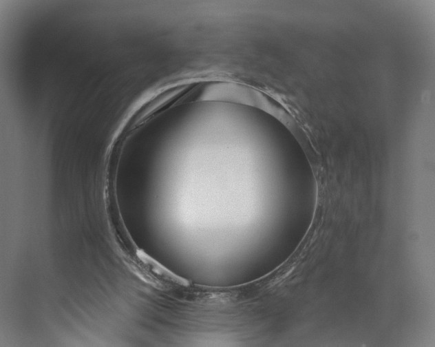 X0000073970056200609111752