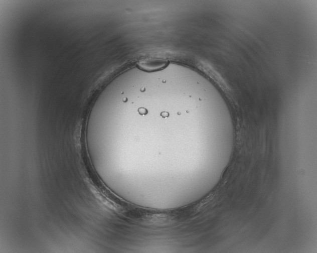 X0000073970058200609111752