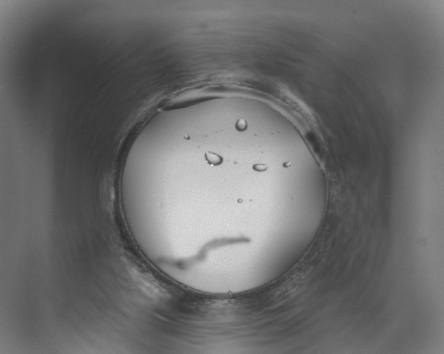 X0000073970059200609111752