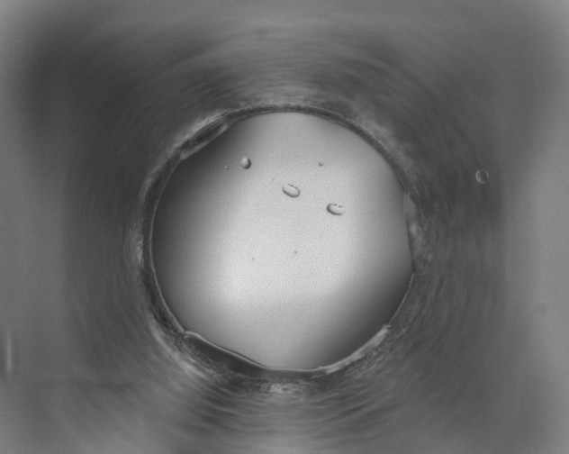 X0000073970060200609111752