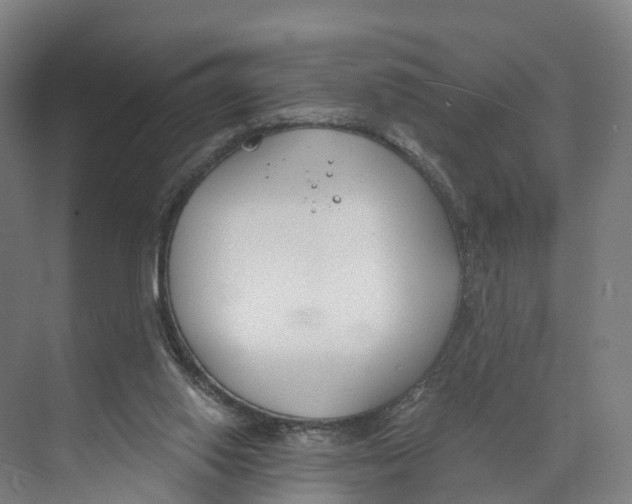 X0000073970062200609111752