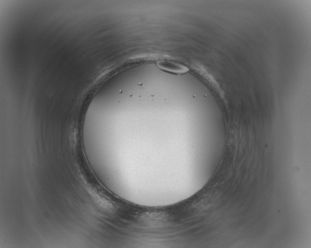 X0000073970063200609111752