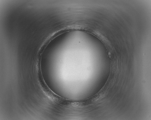 X0000073970064200609111752