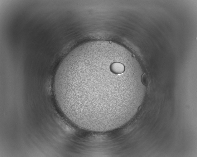 X0000073970065200609111753