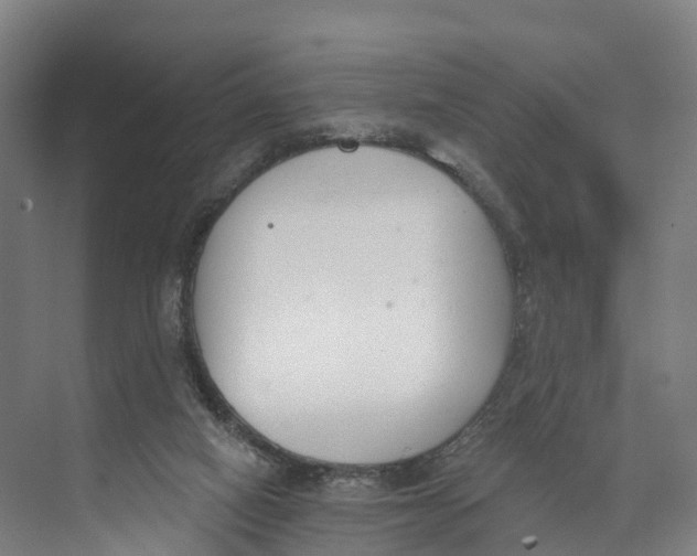 X0000073970066200609111753