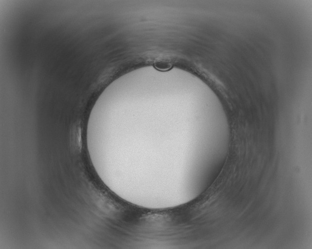 X0000073970067200609111753