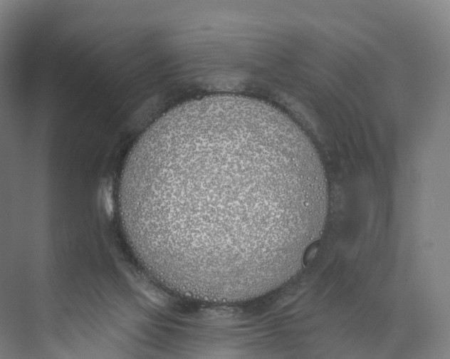 X0000073970069200609111753